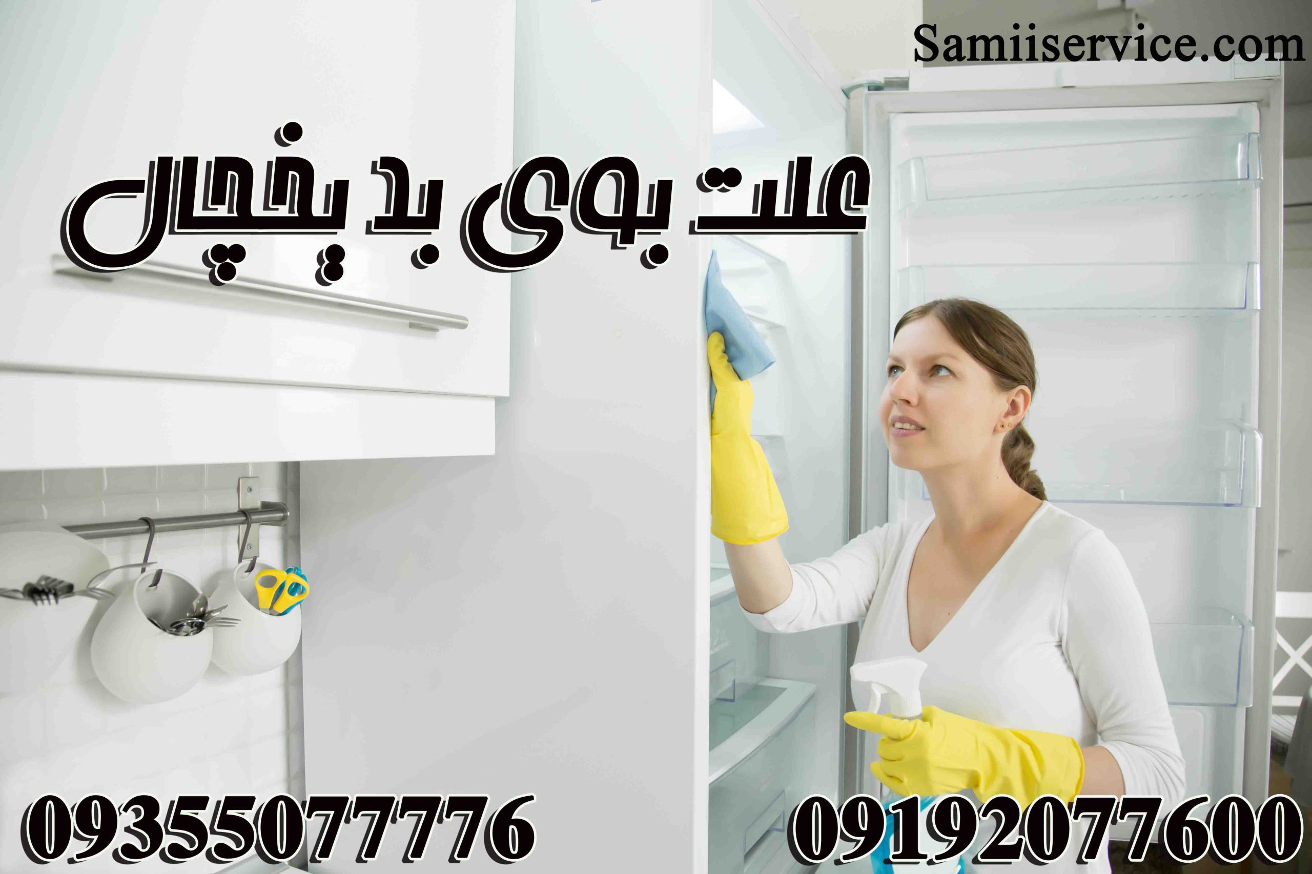 دلایل بوی بد یخچال